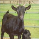 천수암 위 이미지