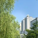청진장 | 왕초보도 공중에 뜰 수 있음! | 하남미사 플라잉요가 스테이영&amp;필라테스 솔직 후기
