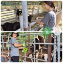 성희목장 이미지