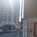 안정로29번길 | [평택 팽성 써니헤어살롱] 분위기부터 시술까지 만족스러운 평택 붙임머리 살롱