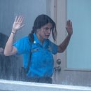 Force of Nature 이미지