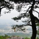 용정사 입구 | (경남여행/창원여행)창원 정병산 산행. 낙남정맥의 아름다운 산길 근교산 창원 정병산~독수리바위...