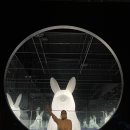 씨유 화순에듀시티점 | 5월의 제주도 - 제주도 여행 기록. DAY 3(220523)