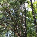 김씨농장 이미지