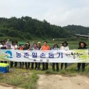 봉화읍사무소 네이버블로그
