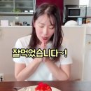 한입만 Daum카페