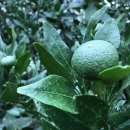 백록농장 이미지