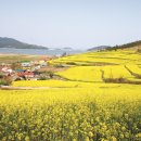 동화마을 생태공원 1 이미지