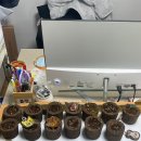 아름다운안암지역아동센터 | [밸유 for ESG] 04. 가치가유(儒)_&#34;공유&#34;단계(2)