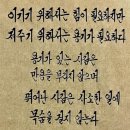 벚꽃 앤딩이 시작 되었습니다~ 이미지