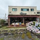 [제주김밥]240. 제주 구좌 / 제주 문어김밥 ‘ 해난디아장카페 ’