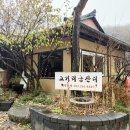 금잔디 | 수지 고기동 한정식 맛집 고기리금잔디 내돈내산 후기