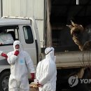 김동철농장 이미지