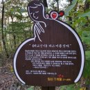 이사주당?유한규묘 | 이사주당, &#34;뱃속 교육이 출산 후 교육보다 훨씬 중요&#34;