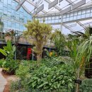 둔산중로-32 이미지