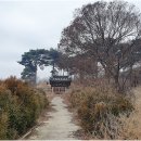 김해김씨 정려 이미지