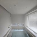 스테이모네 이미지