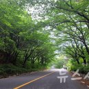 대청호수로 이미지