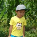 만석군농장 이미지