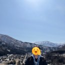 주식회사 동양파킹시스템 | [나고야-다카야마-시라카와고 여행] 오아시스 파크, 시라카와고, 오기마치성터 전망대, 시라카와고 술