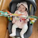 임마누엘세탁 | 육아 131~137 : 에듀테이블 변신, 잠자리독서 시작