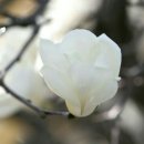 솔한방병원 네이버블로그