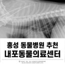 내포동물의료센터 이미지