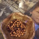 꾀돌이 분식 | [공지] 회기 레트로 술집 | 이십세기분식포차