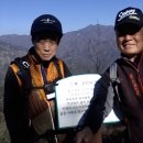 새마을금고 이미지