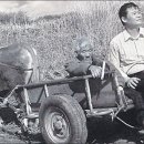 워낭소리 이미지