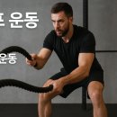 반송동130 | 고강도 전신운동 배틀로프 PT수업후기[오산 동탄 반송동 아나파짐앤랩 피티 PT]