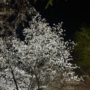 정양한방병원 네이버블로그