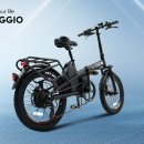 비아지오 이미지