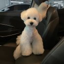 몽띠아모 이미지