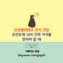 신성피혁(1공장) | 신성델타테크 주가 전망, 초전도체 너머 진짜 가치를 찾아야 할 때
