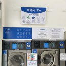 크린토피아코인워시안양평촌비즈