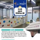 해피독 트레이닝스쿨 이미지