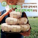 버거크루 네이버블로그