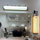 고분로 | 내돈내산 웨딩촬영 가을스튜디오 VIP룸부터 촬영까지 솔직 후기