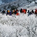 태백산 - 서구 완정로 151 | 태백산