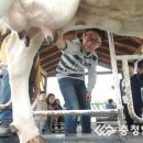 대술초등학교 이미지