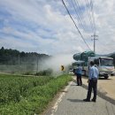 입면농협 이미지