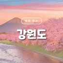 예래 본향당 이미지