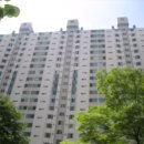 탄벌동-11 이미지