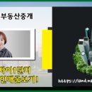 해운대자이2차 1단지 네이버블로그