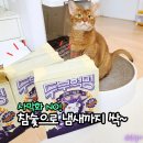연모지정 | 고양이 두부모래 추천, 사막화 없는 친환경모래 한고연몰 두부혁명