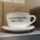 롯데프리미엄아울렛 | 동부산 롯데프리미엄아울렛 코치카페 직접 가본 후기