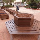 태암초등 이미지