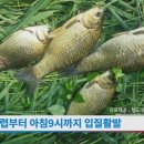 청도대구낚시(수릿대닷컴)