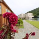 두륜산자락펜션 이미지